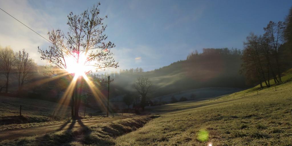 Ferienwohnung Dobelblick Buchenbach  Camera foto